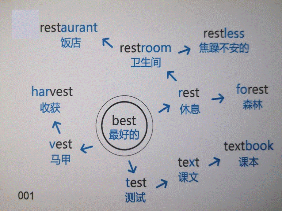 思维导图速记初中1600词204图(白底).pptx_第2页