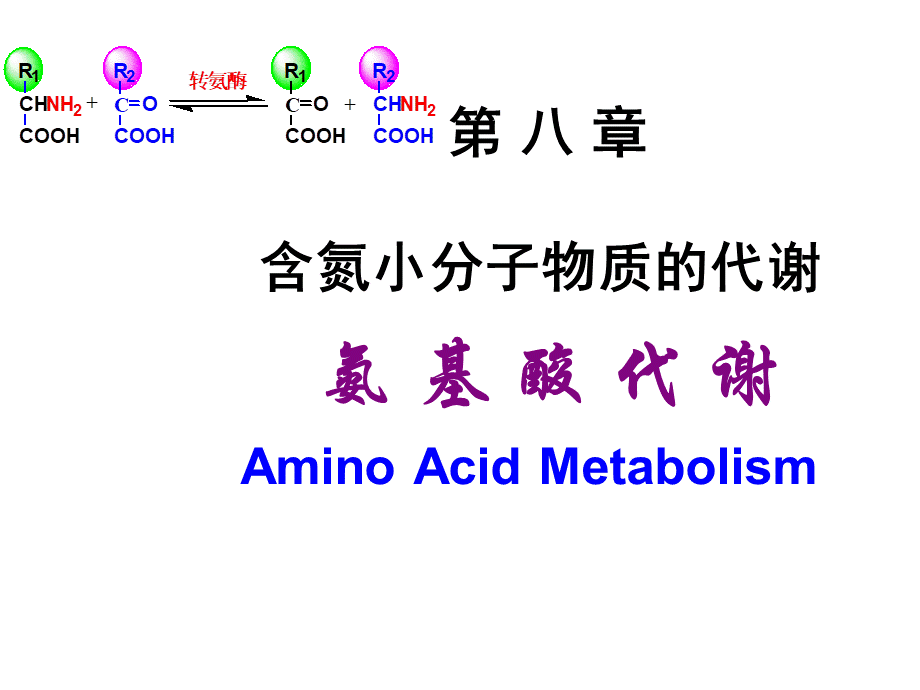 Chapter 8 含氮小分子物质的代谢.ppt_第1页