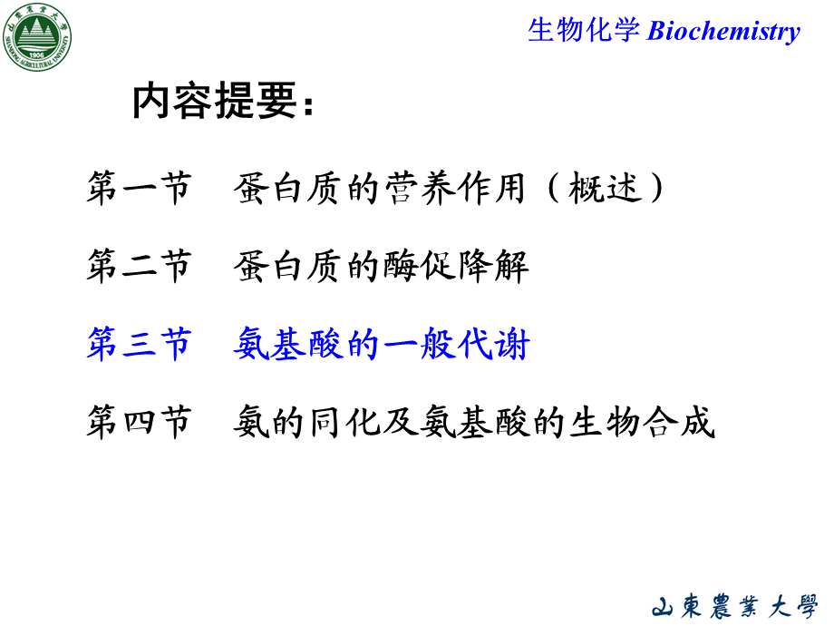 Chapter 8 含氮小分子物质的代谢.ppt_第2页