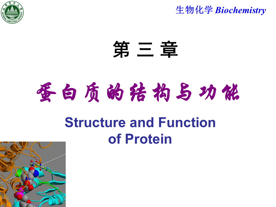 Chapter 3 蛋白质的结构与功能.ppt_第1页