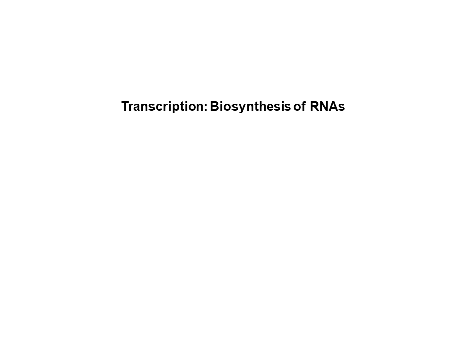 华东理工生物化学chap12.ppt_第1页