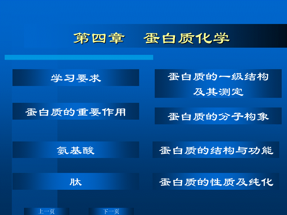 华东理工生物化学chap04.ppt_第2页