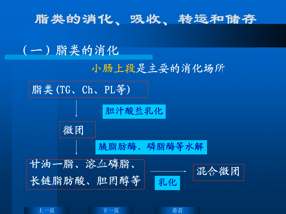 华东理工生物化学chap09.ppt_第3页