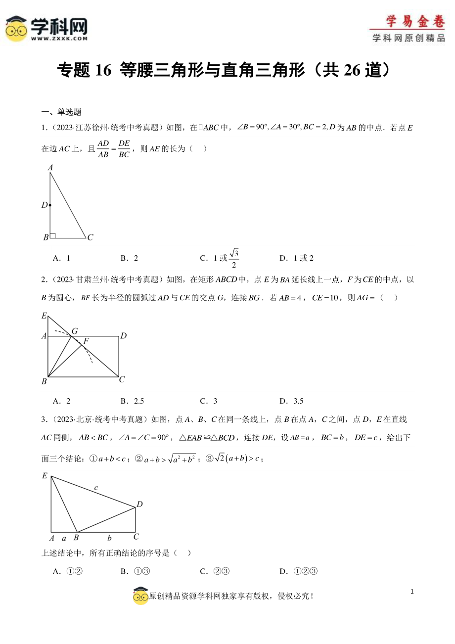 专题16 等腰三角形与直角三角形（原卷版）.docx_第1页