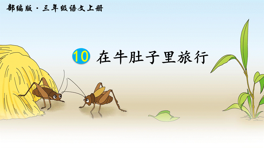 10在牛肚子里旅行.ppt_第2页