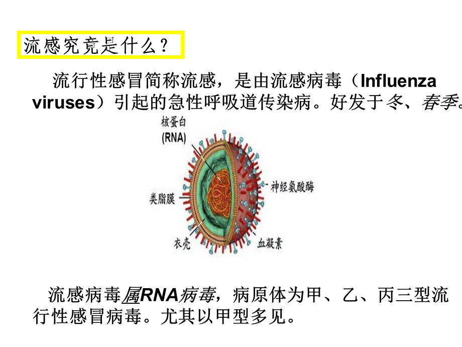 107、预防流感知多少.ppt_第3页