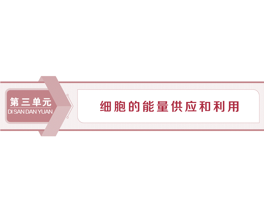 1 第8讲　降低化学反应活化能的酶.ppt_第1页