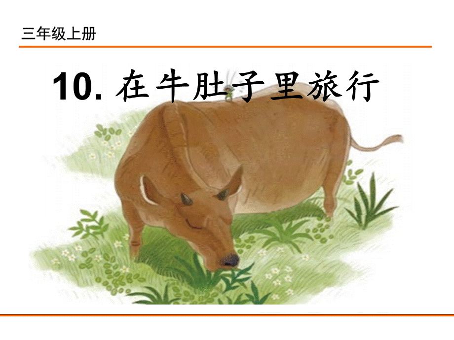 10.在牛肚子里旅行.ppt_第1页