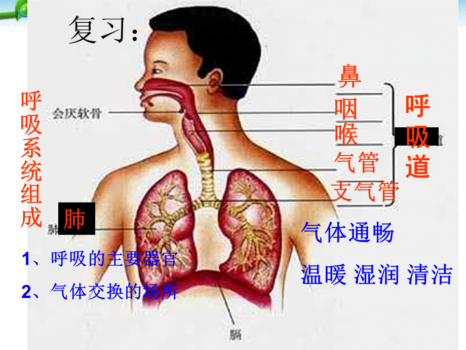 发生在肺内的气体交换(用).ppt_第1页