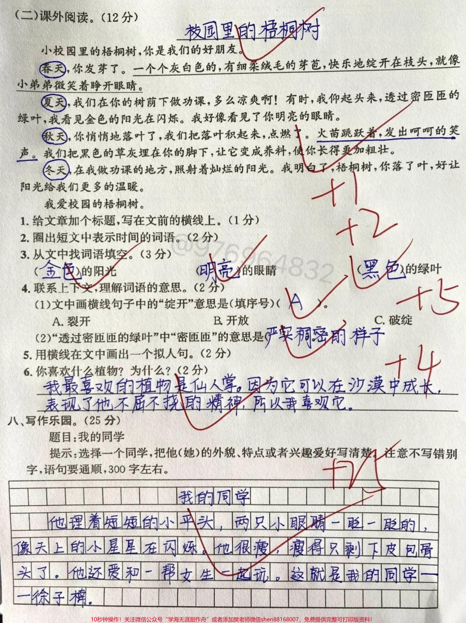 三年级上册语文第一次月考#三年级上册语文 #学霸 #小学语文 #三年级 #必考.pdf_第3页