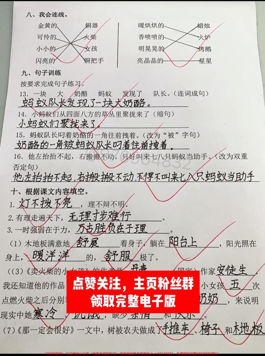 三年级语文上册第三单元检测卷#三年级上册语文 #小学语文 #三年级 #必考考点 #语文.pdf_第3页