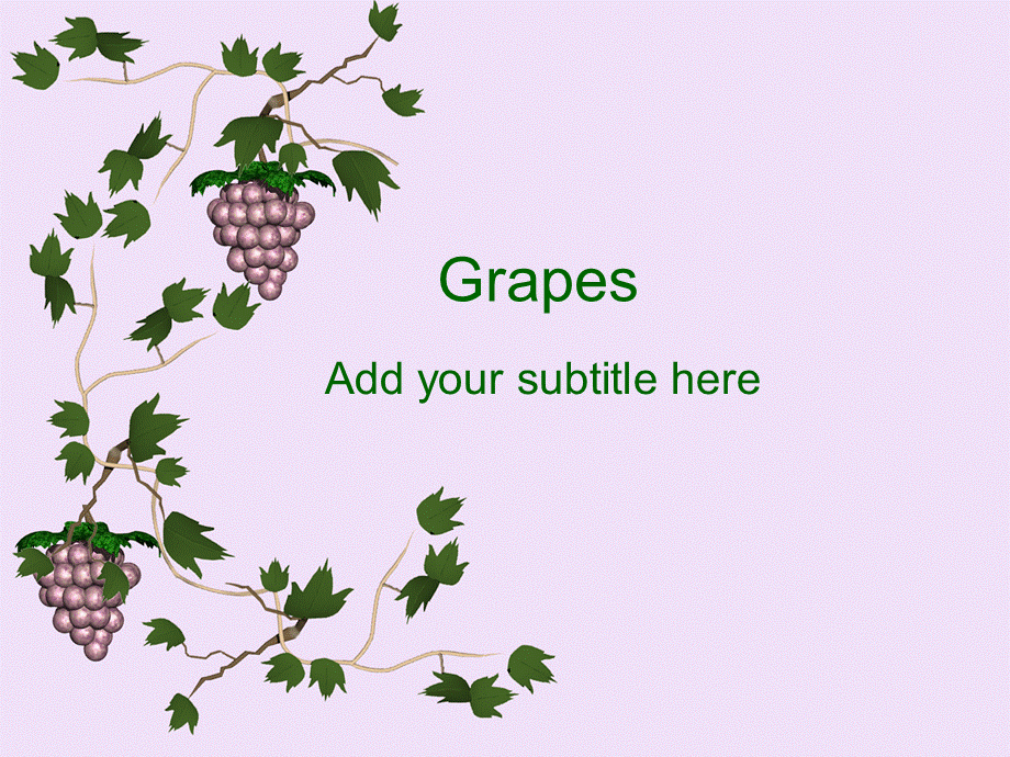 精美商业PPT模板grapes010.ppt_第1页