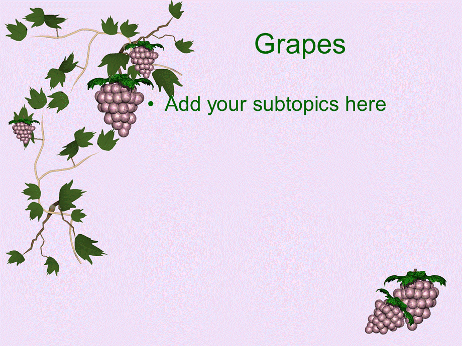 精美商业PPT模板grapes010.ppt_第2页