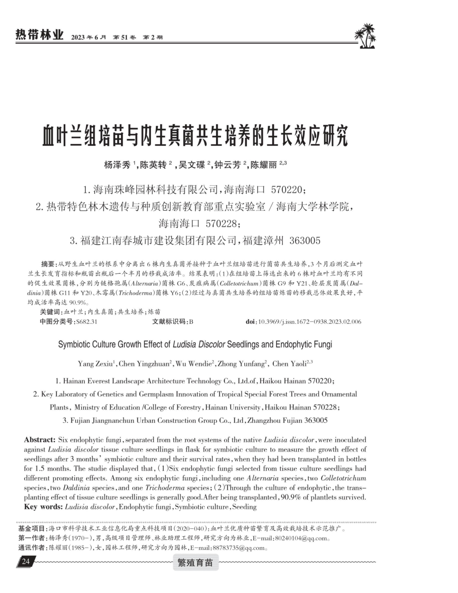 血叶兰组培苗与内生真菌共生培养的生长效应研究.pdf_第1页