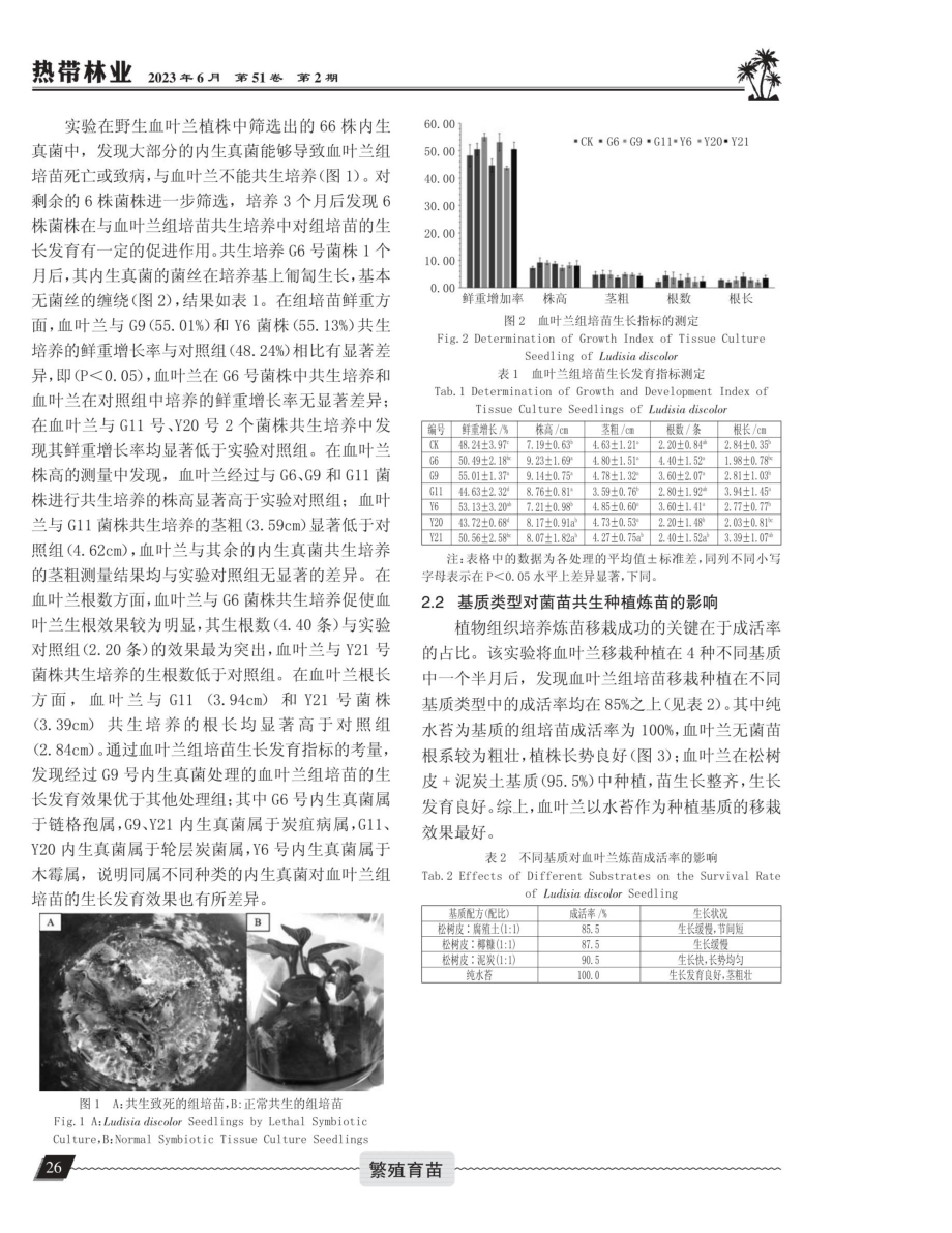 血叶兰组培苗与内生真菌共生培养的生长效应研究.pdf_第3页