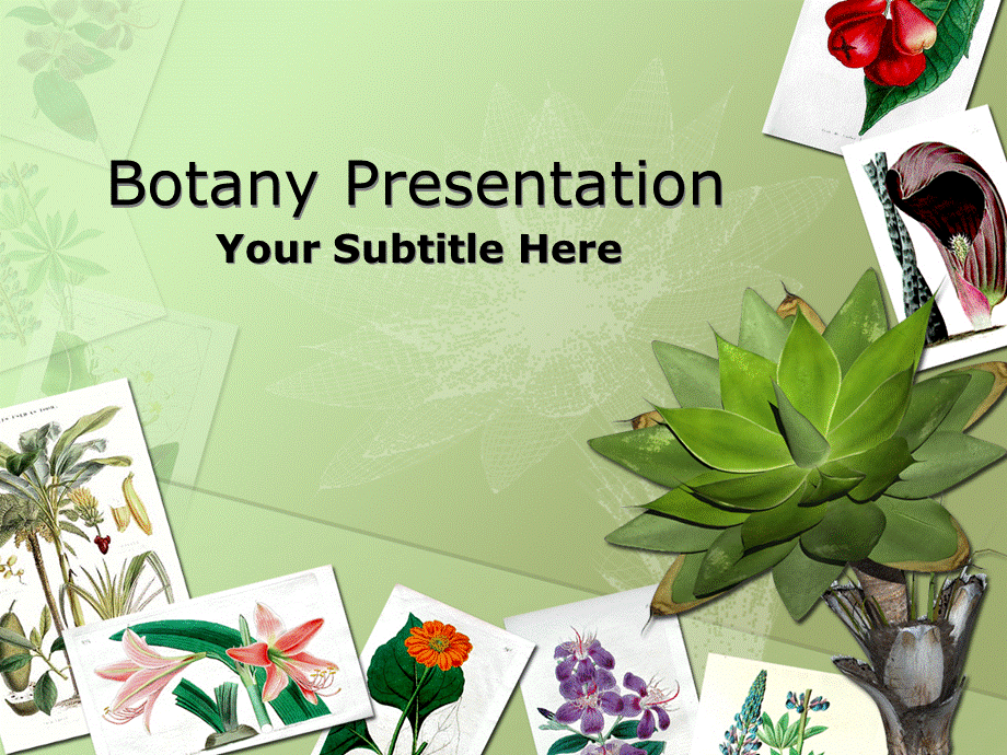 精美大自然PPT模板botany010.ppt_第1页