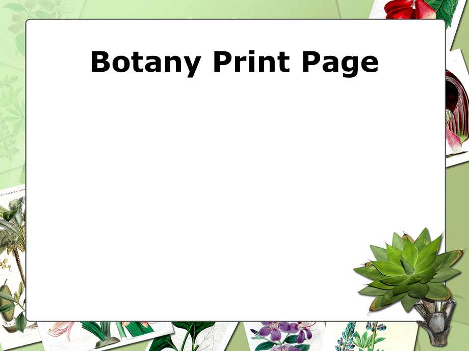 精美大自然PPT模板botany010.ppt_第3页