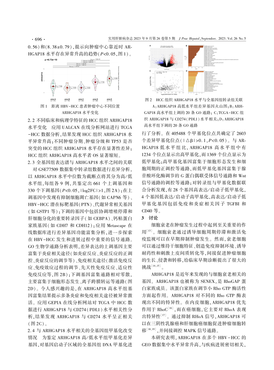 乙型肝炎病毒相关肝细胞癌癌组织ARHGAP18水平及其基因调控网络分析.pdf_第3页