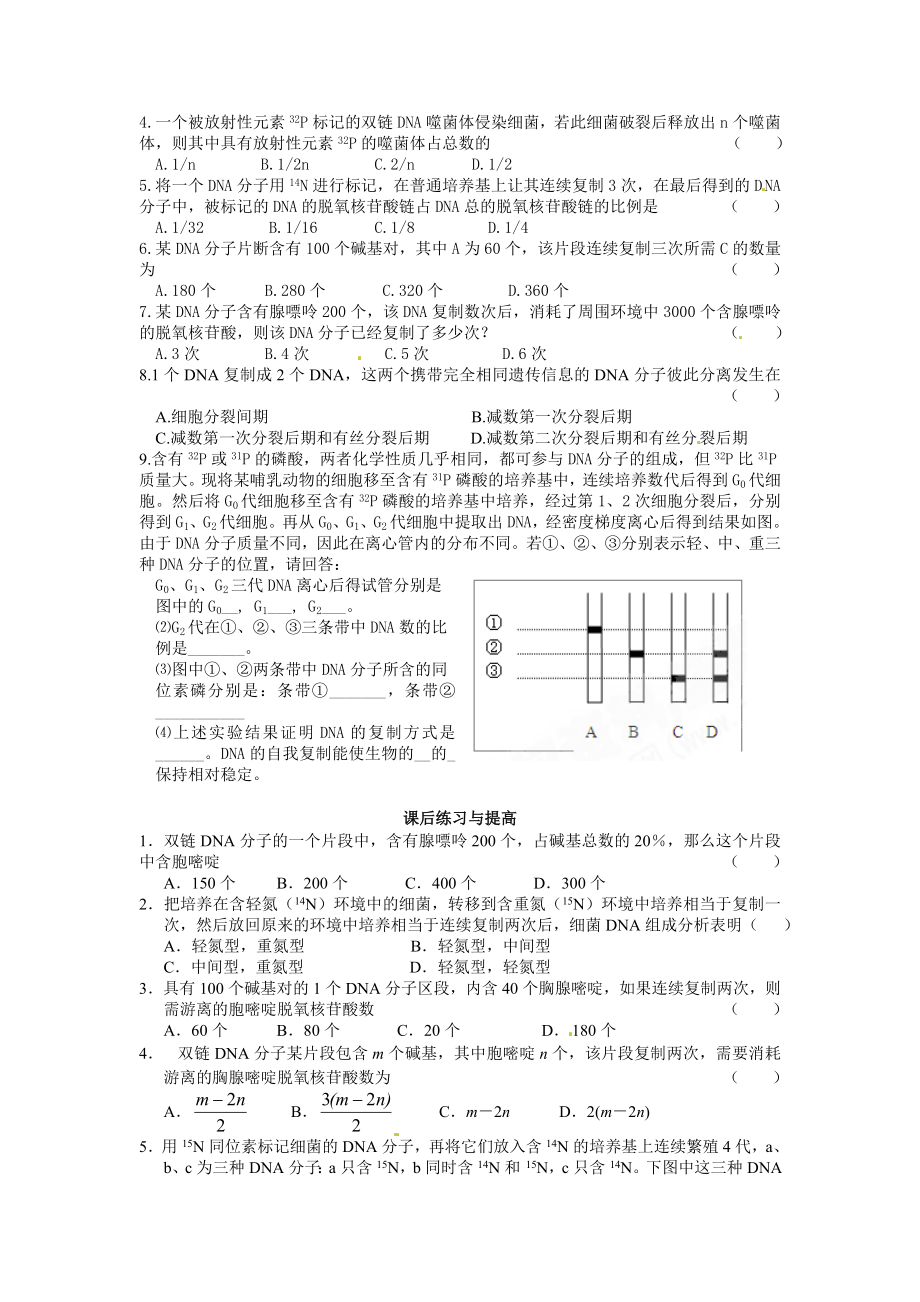 必修二第三章第3节《DNA的复制》导学案.doc_第3页