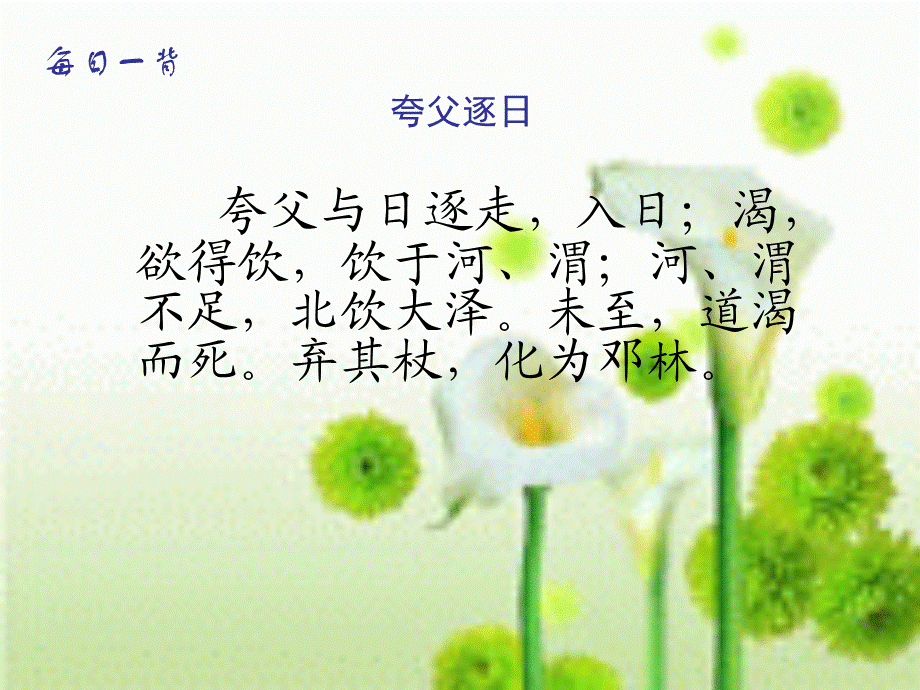 17 山谷中的谜底.ppt_第1页