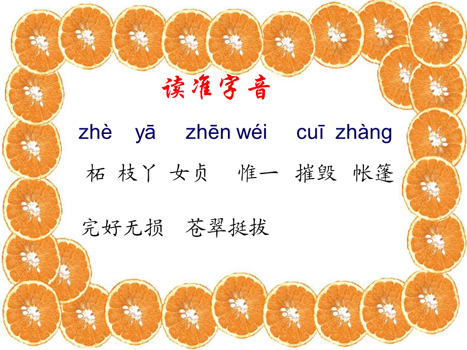 17 山谷中的谜底.ppt_第3页