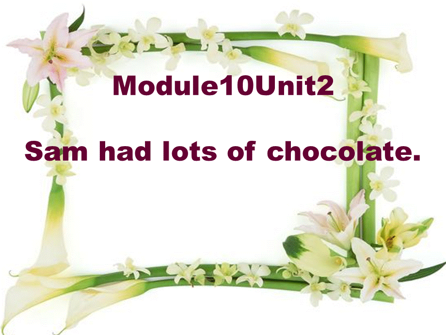 外研版（三起）四下Module 10《Unit 2 Sam had lots of chocolates》ppt课件1(1).ppt_第1页