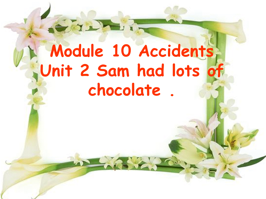 外研版（三起）四下Module 10《Unit 2 Sam had lots of chocolates》ppt课件3(1).ppt_第1页