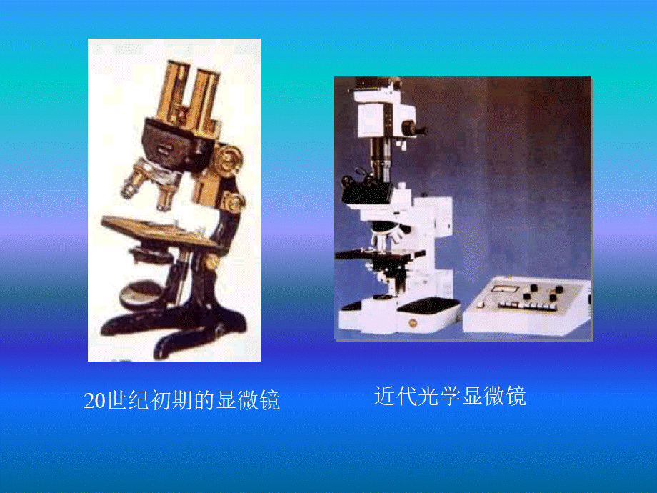 青岛小学科学六下《1. 细胞》PPT课件 (1)【加微信公众号 jiaoxuewuyou 九折优惠 qq 1119139686】.ppt_第3页