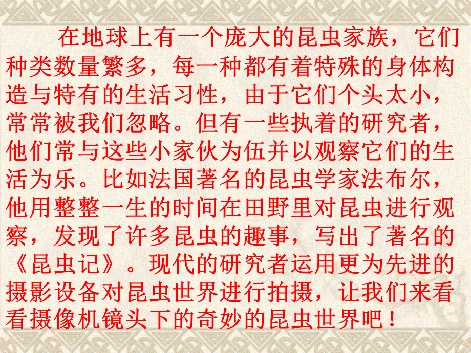 教科小学科学六下《1.2、放大镜下的昆虫世界》PPT课件(1)【加微信公众号 jiaoxuewuyou 九折优惠 qq 1119139686】.ppt_第2页