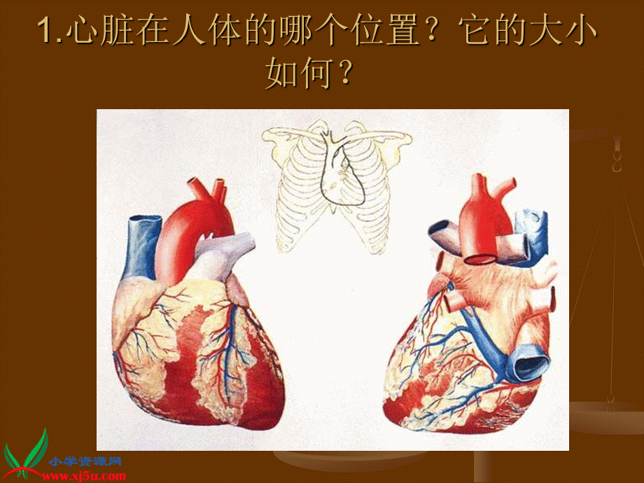 首师大小学科学四下《16.心脏的保健》PPT课件(2)【加微信公众号 jiaoxuewuyou 九折优惠qq 1119139686】.ppt_第2页