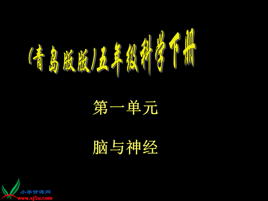 青岛小学科学五下《4.脑与神经》PPT课件 (4)【加微信公众号 jiaoxuewuyou 九折优惠 qq 1119139686】.ppt_第1页