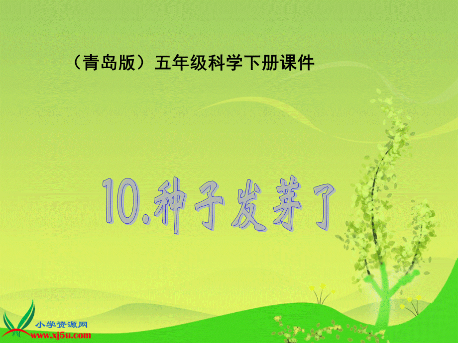 青岛小学科学五下《10.种子发芽了》PPT课件 (7)【加微信公众号 jiaoxuewuyou 九折优惠 qq 1119139686】.ppt_第1页