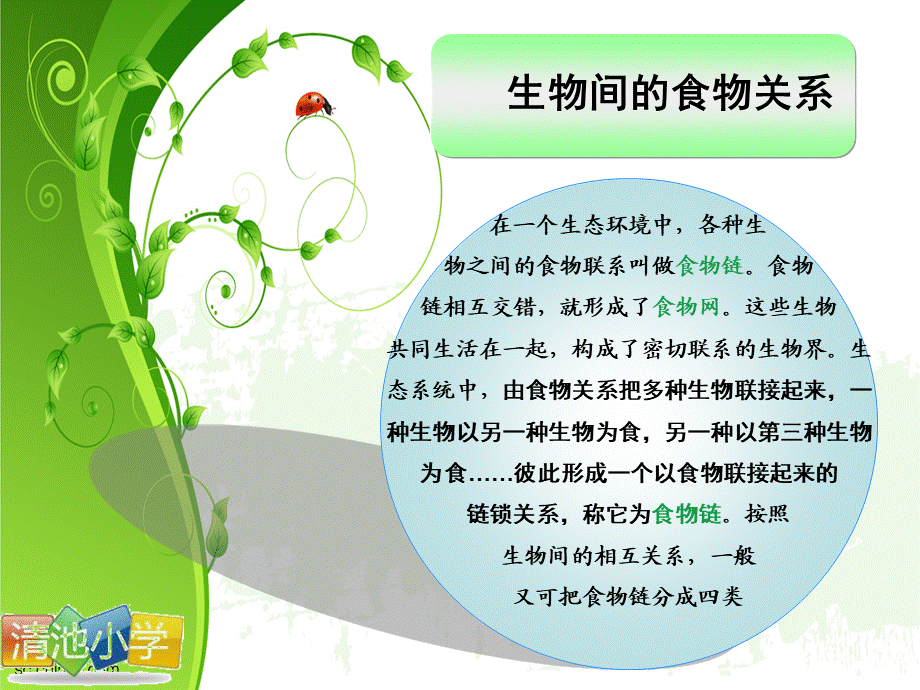 青岛小学科学六上《23、密切联系的生物界》PPT课件 (16)【加微信公众号 jiaoxuewuyou 九折优惠 qq 1119139686】.ppt_第2页