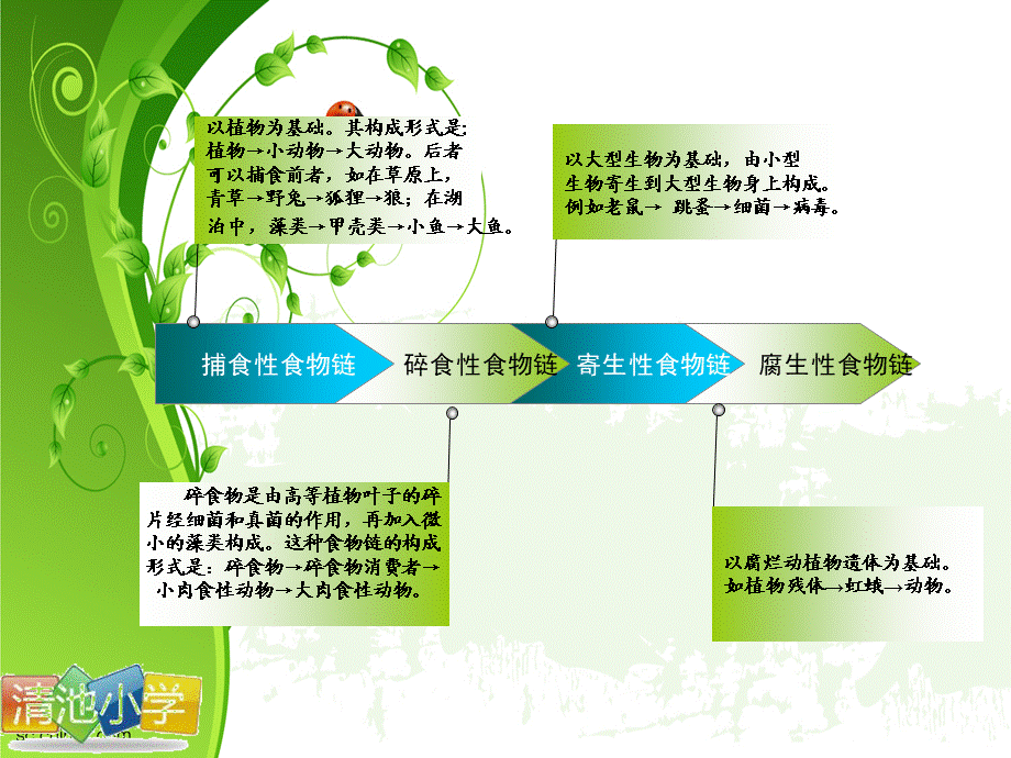 青岛小学科学六上《23、密切联系的生物界》PPT课件 (16)【加微信公众号 jiaoxuewuyou 九折优惠 qq 1119139686】.ppt_第3页