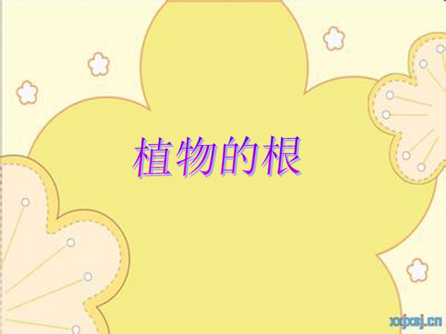 青岛小学科学四上《2 植物的根》PPT课件 (2)【加微信公众号 jiaoxuewuyou 九折优惠 qq 1119139686】.ppt_第1页