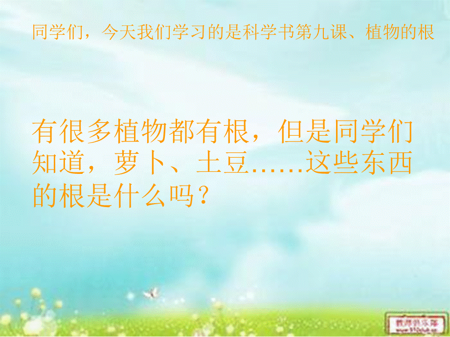 青岛小学科学四上《2 植物的根》PPT课件 (2)【加微信公众号 jiaoxuewuyou 九折优惠 qq 1119139686】.ppt_第2页