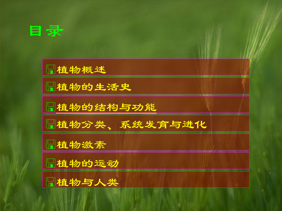 首师大小学科学三上《2.植物世界》PPT课件【加微信公众号 jiaoxuewuyou 九折优惠qq 1119139686】.ppt_第2页