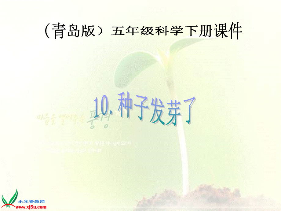 青岛小学科学五下《10.种子发芽了》PPT课件 (5)【加微信公众号 jiaoxuewuyou 九折优惠 qq 1119139686】.ppt_第1页