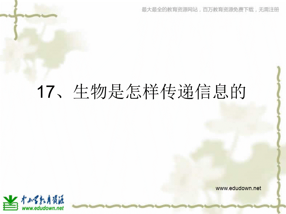 青岛小学科学六下《17、生物是怎样传递信息的》PPT课件 (6)【加微信公众号 jiaoxuewuyou 九折优惠 qq 1119139686】.ppt_第1页