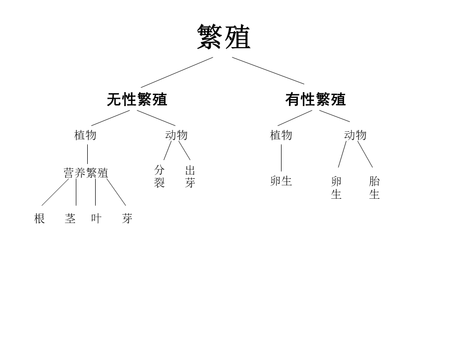 冀教小学科学五下册《7落地生根》ppt课件 (3)【加微信公众号 jiaoxuewuyou 九折优惠qq 1119139686】.ppt_第2页