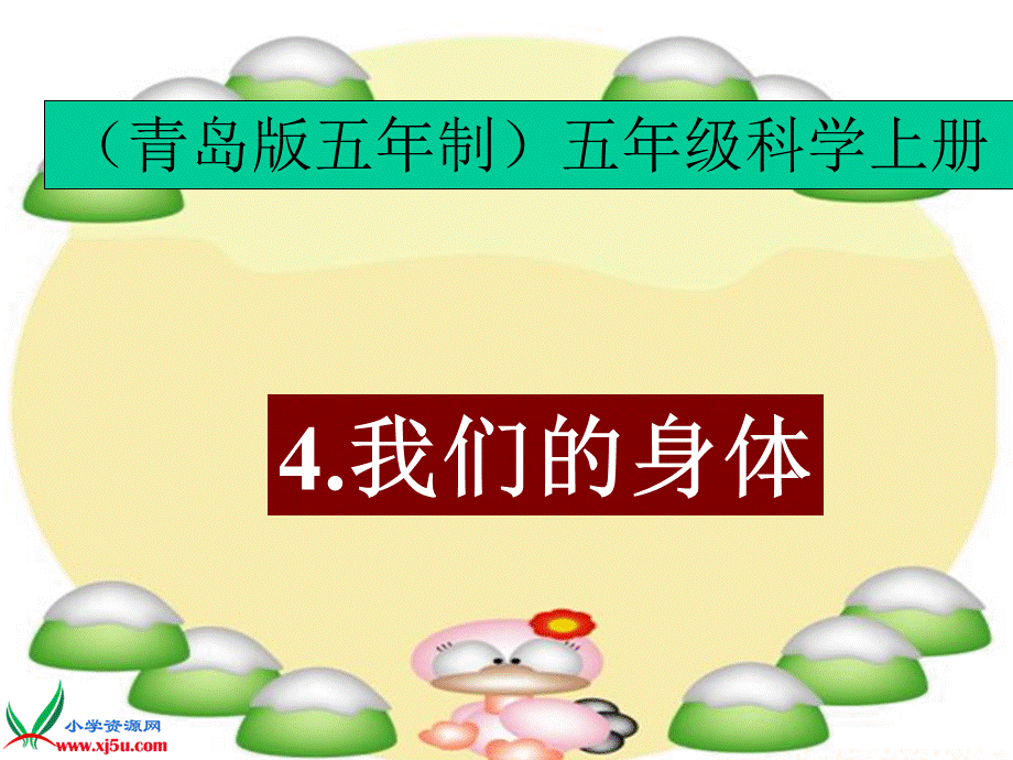 青岛小学科学五上《4 我们的身体》PPT课 件 (1)【加微信公众号 jiaoxuewuyou 九折优惠 qq 1119139686】.ppt_第1页