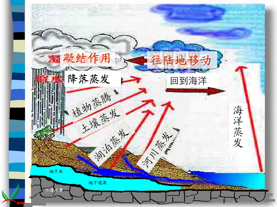 青岛小学科学四上《17 小水滴的旅行》PPT课件 (6)【加微信公众号 jiaoxuewuyou 九折优惠 qq 1119139686】.ppt_第2页