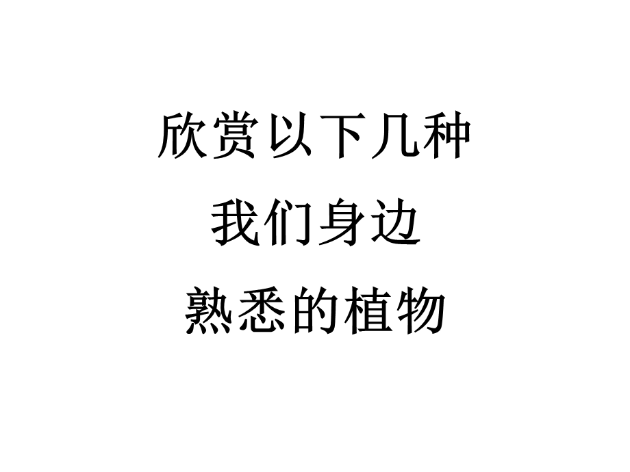 青岛小学科学四上《1 植物的身体》PPT课件 (2)【加微信公众号 jiaoxuewuyou 九折优惠 qq 1119139686】.ppt_第3页