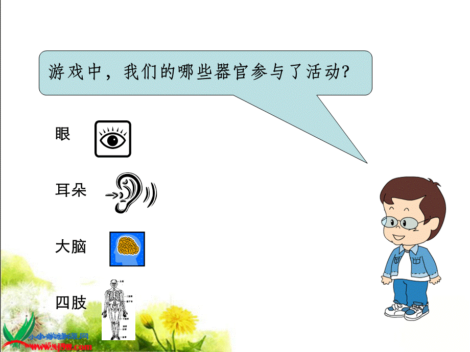 青岛小学科学五下《4.脑与神经》PPT课件 (2)【加微信公众号 jiaoxuewuyou 九折优惠 qq 1119139686】.ppt_第3页