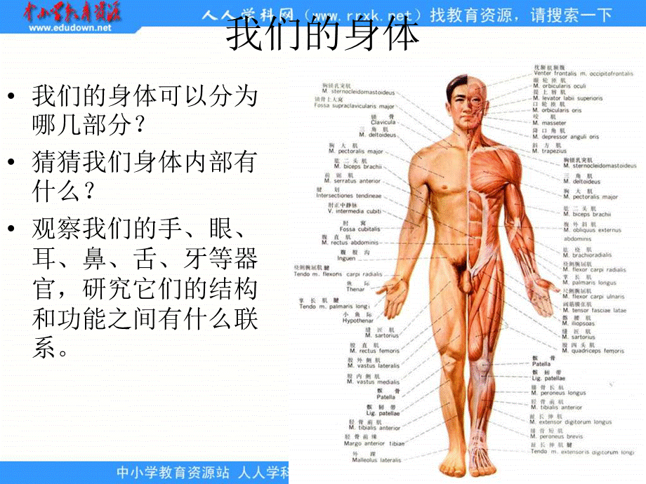 青岛小学科学五上《4 我们的身体》PPT课件 (1)【加微信公众号 jiaoxuewuyou 九折优惠 qq 1119139686】.ppt_第1页