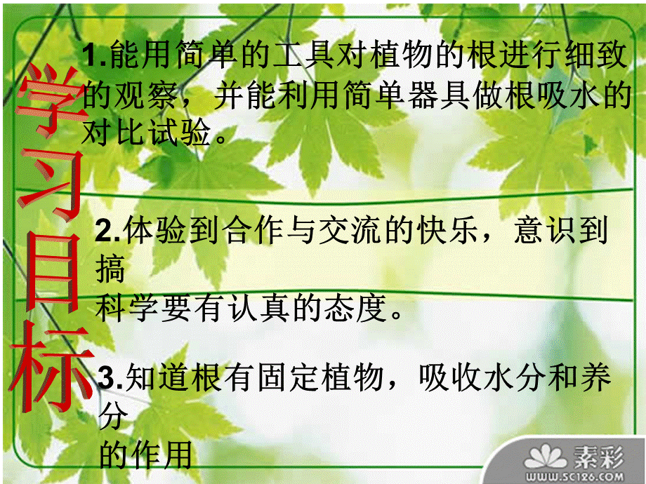 青岛小学科学四上《2 植物的根》PPT课件 (7)【加微信公众号 jiaoxuewuyou 九折优惠 qq 1119139686】.ppt_第2页