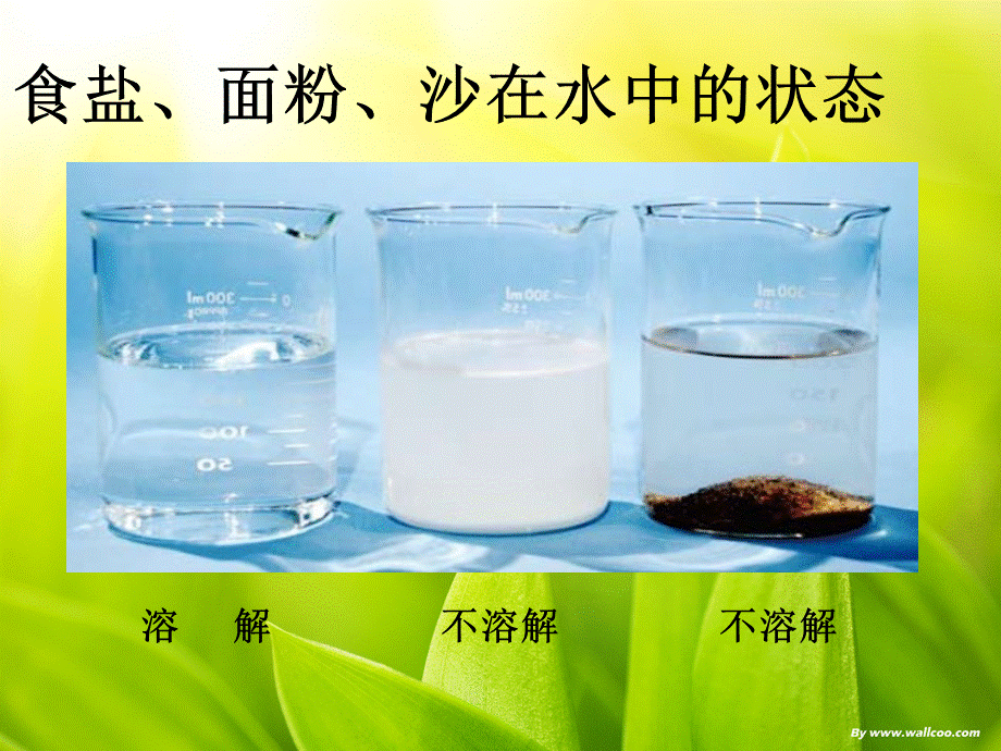 教科小学科学四上《2.2、物质在水中是怎样溶解的》PPT课件(3)【加微信公众号 jiaoxuewuyou 九折优惠 qq 1119139686】.ppt_第3页