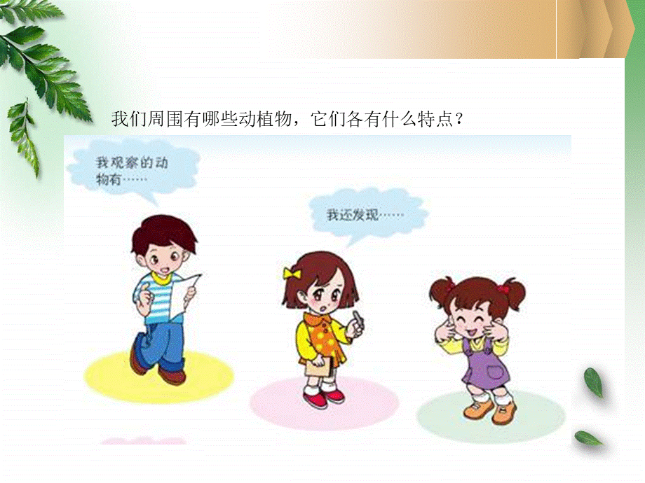 青岛小学科学三上《3 我们身边的动植物》PPT课件 (1)【加微信公众号 jiaoxuewuyou 九折优惠 qq 1119139686】.ppt_第3页