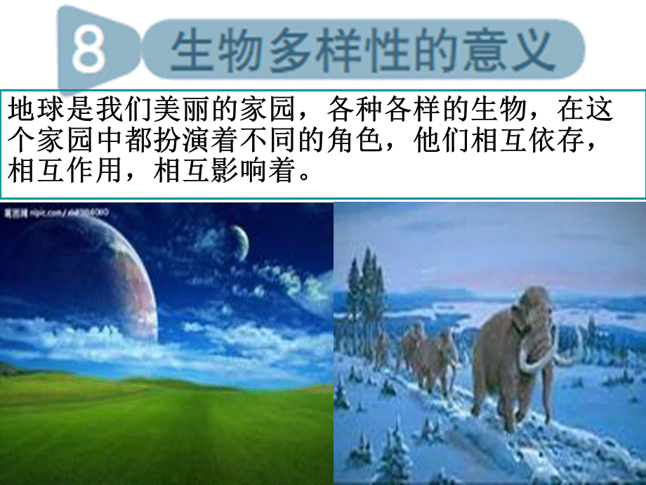 教科小学科学六上《4.8、生物多样性的意义》PPT课件(4)【加微信公众号 jiaoxuewuyou 九折优惠 qq 1119139686】.ppt_第1页