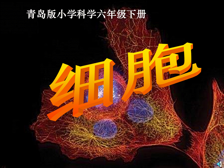 青岛小学科学六下《1. 细胞》PPT课件 (5)【加微信公众号 jiaoxuewuyou 九折优惠 qq 1119139686】.ppt_第1页